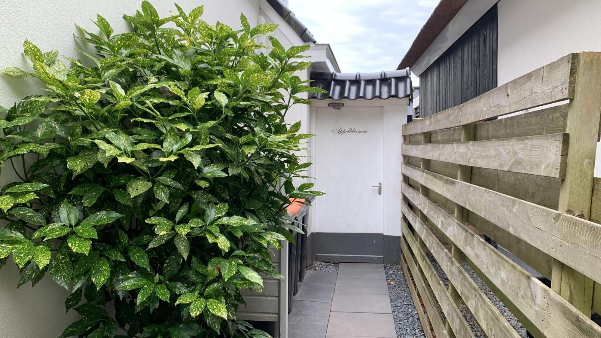 Appelbloesem Villa Bergen Exterior foto